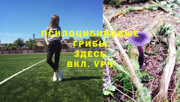 герыч Верея